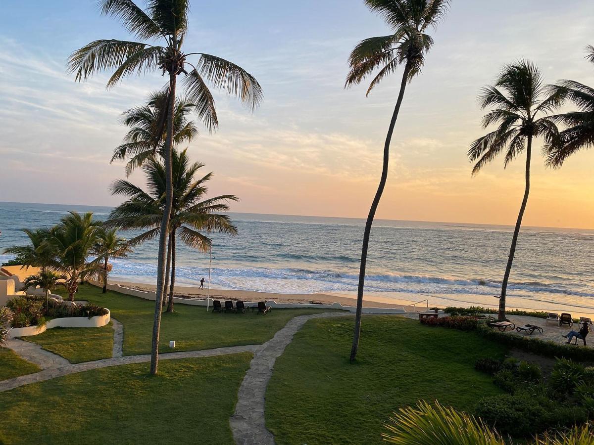 Cabarete Beachfront Condos At Nanny Estate C-5 エクステリア 写真