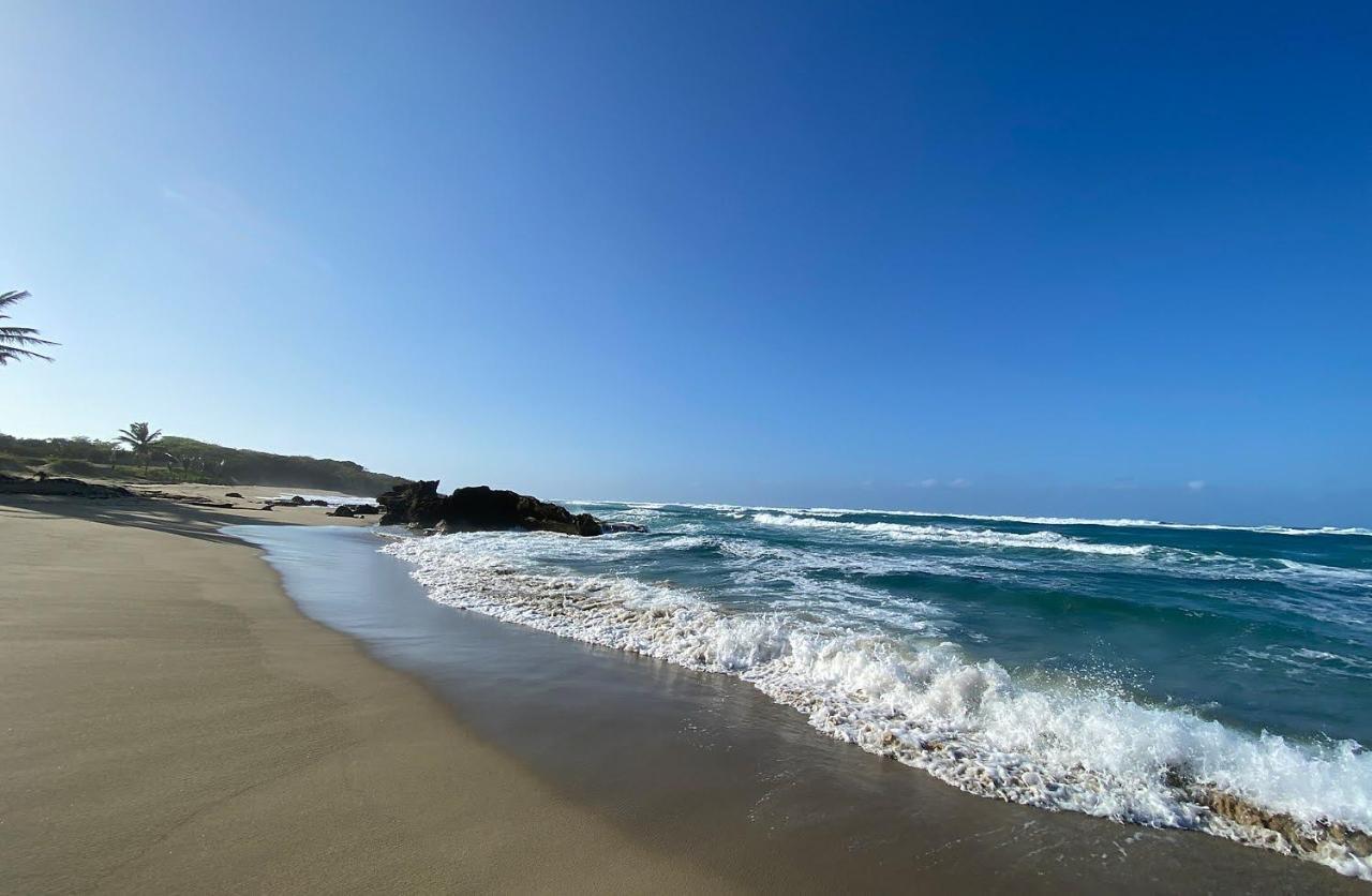 Cabarete Beachfront Condos At Nanny Estate C-5 エクステリア 写真