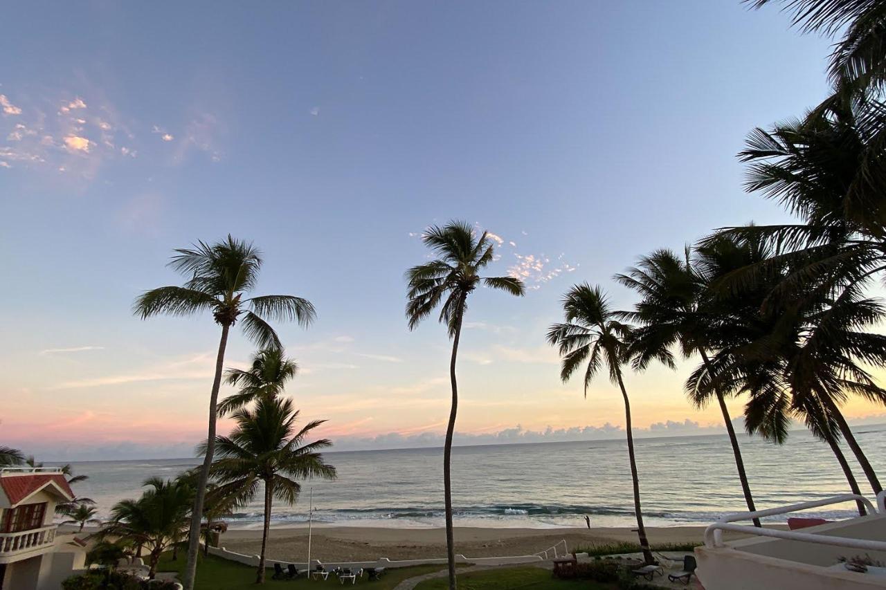 Cabarete Beachfront Condos At Nanny Estate C-5 エクステリア 写真