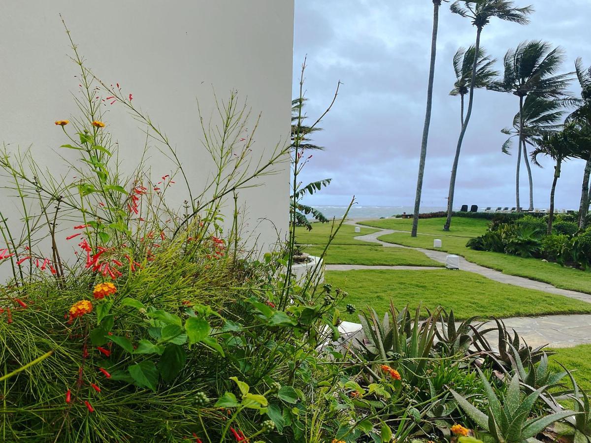 Cabarete Beachfront Condos At Nanny Estate C-5 エクステリア 写真