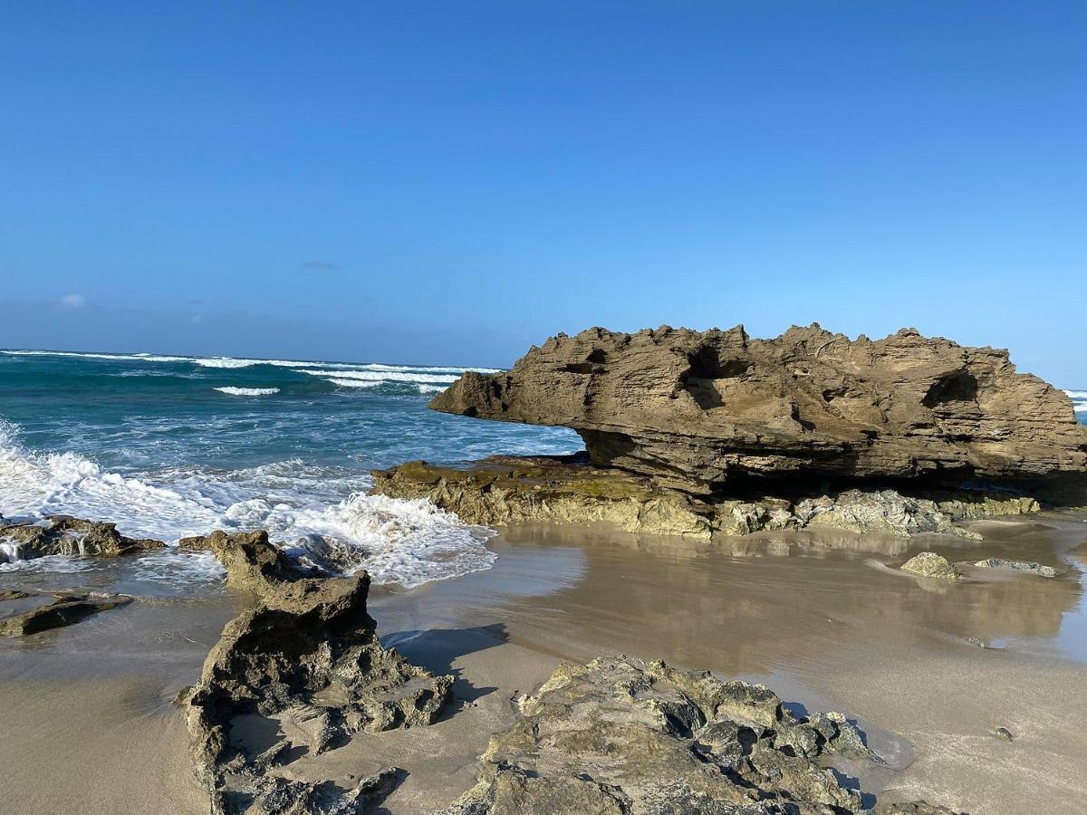 Cabarete Beachfront Condos At Nanny Estate C-5 エクステリア 写真